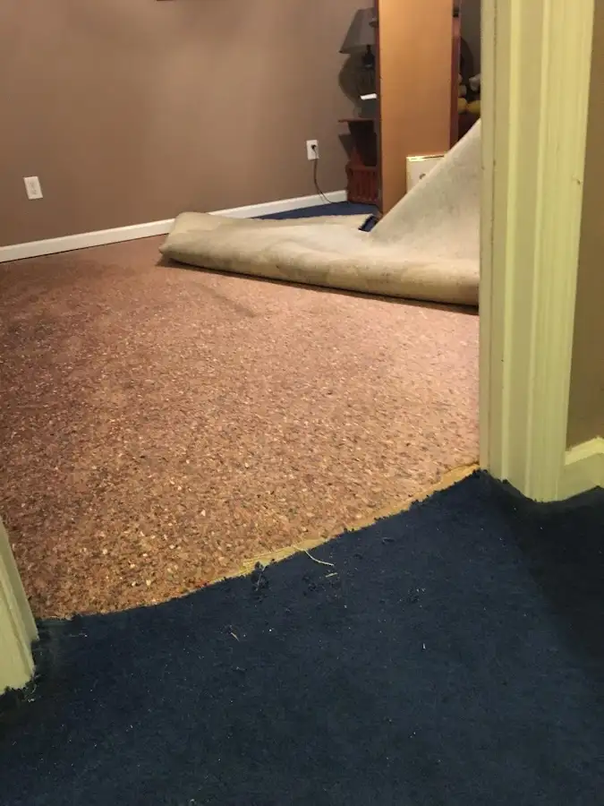 Carpet pad removal revealing water damage during Drying & Dehumidification in Winslow
